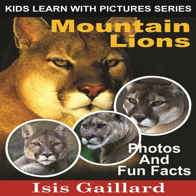 Mountain Lions: Photos and Fun Facts for Kids
