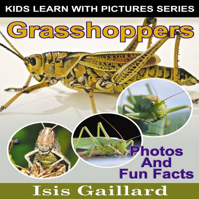 Grasshoppers: Photos and Fun Facts for Kids