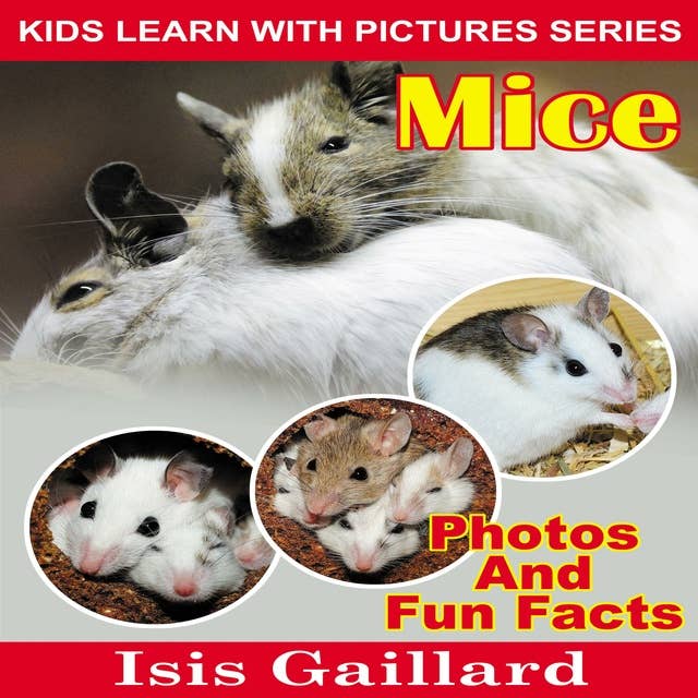 Mice: Photos and Fun Facts for Kids