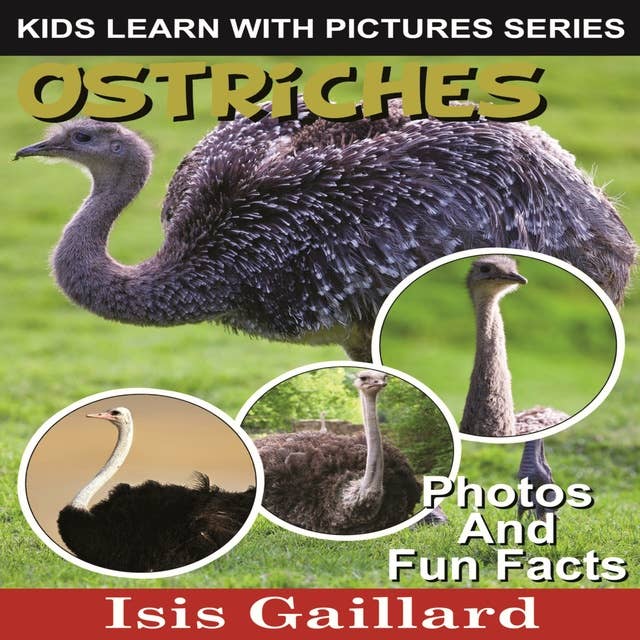 Ostriches: Photos and Fun Facts for Kids