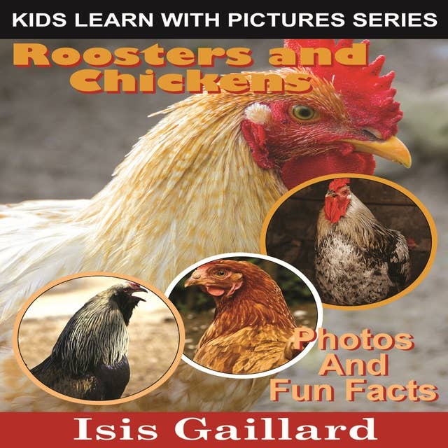 Roosters and Chickens: Photos and Fun Facts for Kids