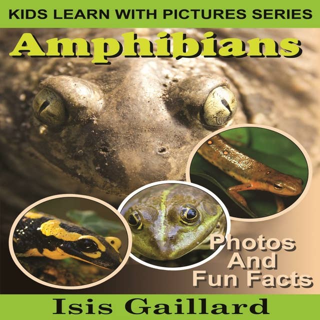 Amphibians: Photos and Fun Facts for Kids