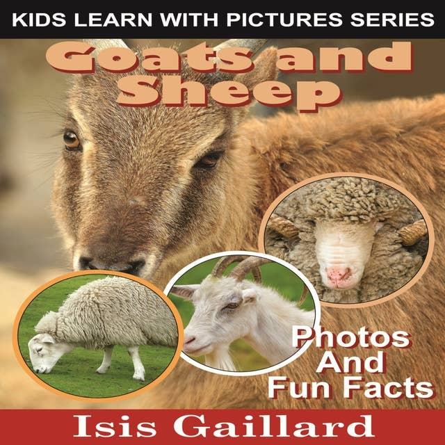Goats and Sheep: Photos and Fun Facts for Kids