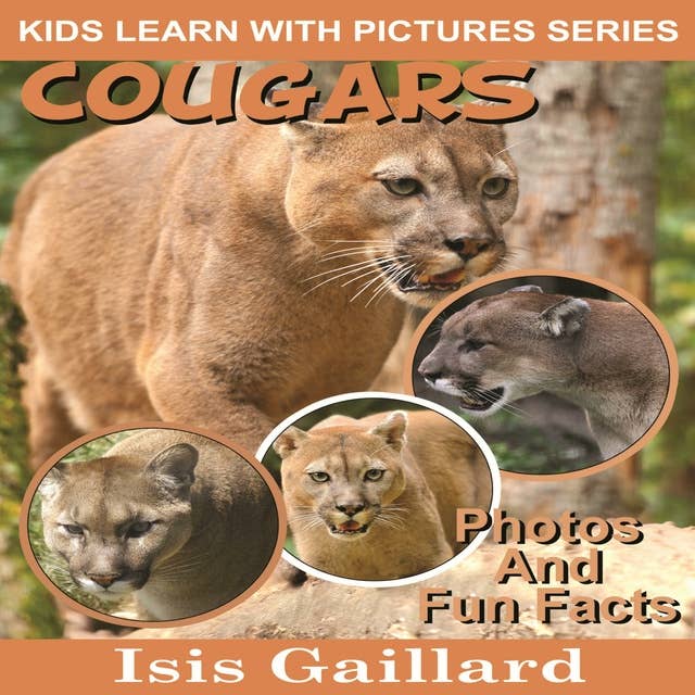 Cougars: Photos and Fun Facts for Kids