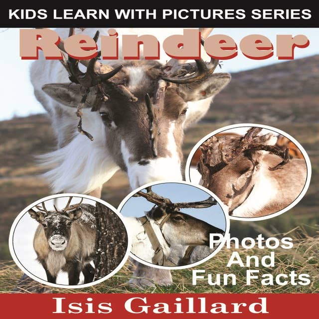 Reindeer: Photos and Fun Facts for Kids