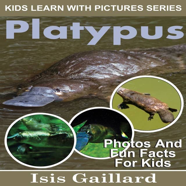 Platypus: Photos and Fun Facts for Kids