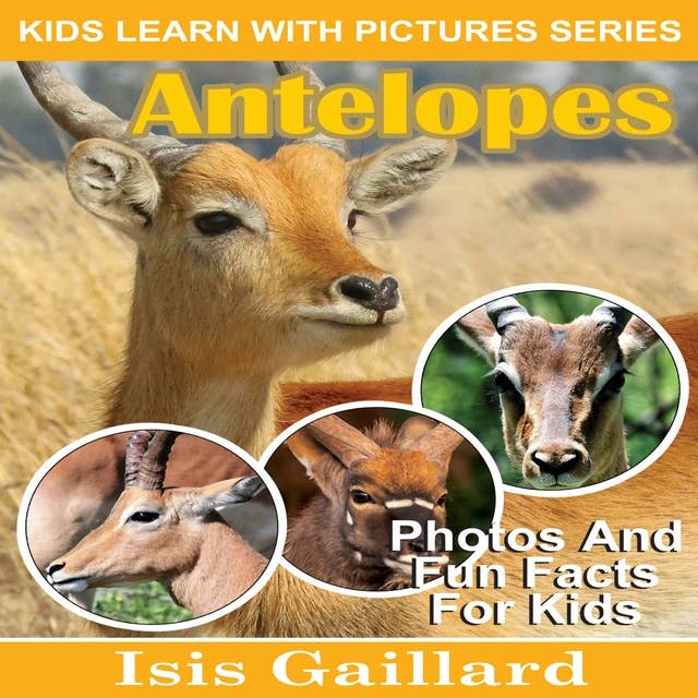 Antelopes: Photos and Fun Facts for Kids