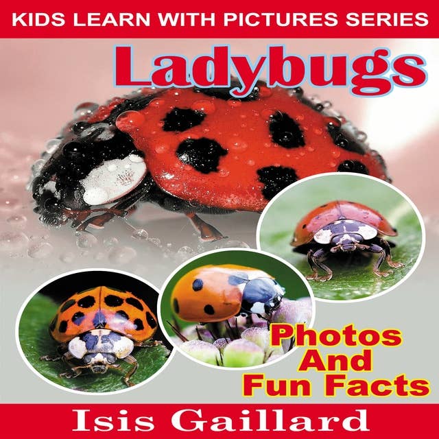 LadyBugs: Photos and Fun Facts for Kids