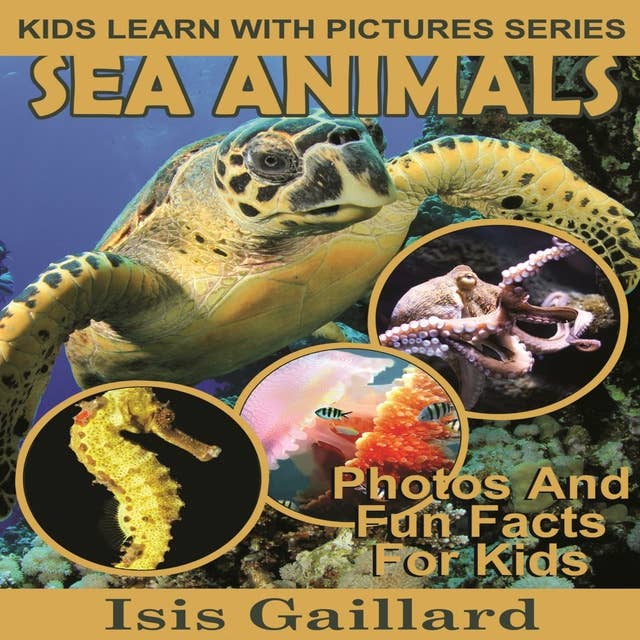 Sea Animals: Photos and Fun Facts for Kids