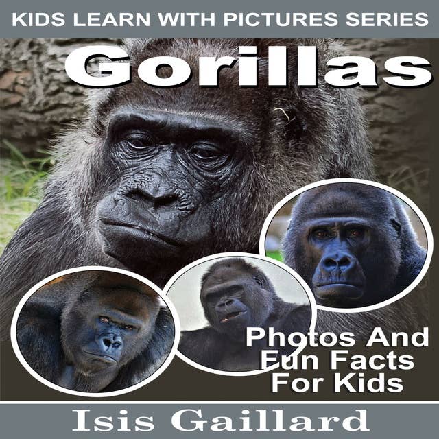 Gorillas: Photos and Fun Facts for Kids
