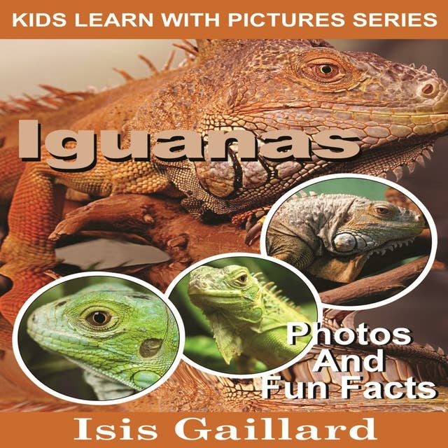 Iguanas: Photos and Fun Facts for Kids