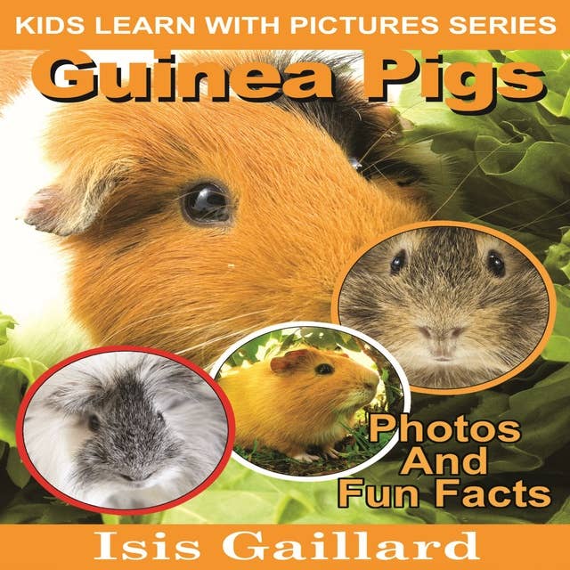 Guinea Pigs: Photos and Fun Facts for Kids