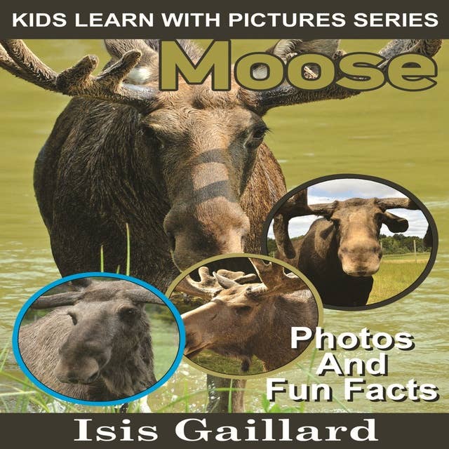Moose: Photos and Fun Facts for Kids