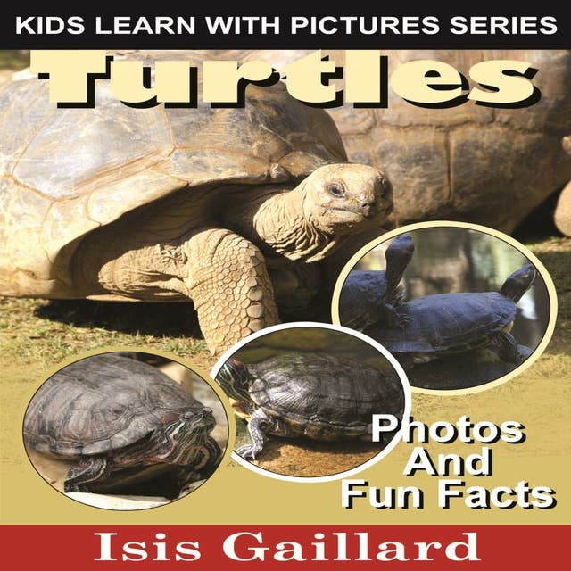 Turtles: Photos and Fun Facts for Kids