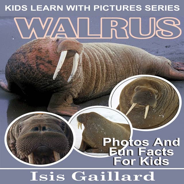 Walrus: Photos and Fun Facts for Kids