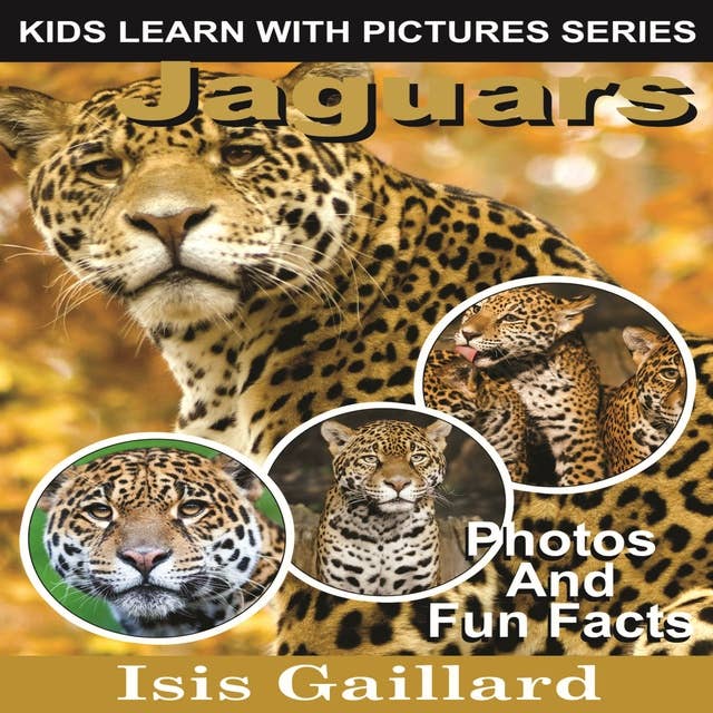 Jaguars: Photos and Fun Facts for Kids