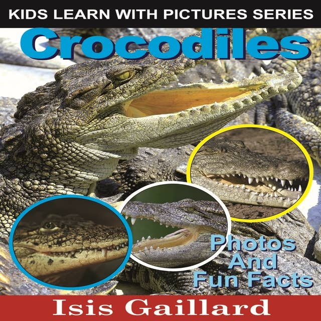 Crocodiles: Photos and Fun Facts for Kids