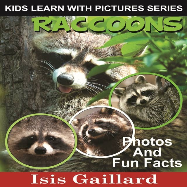 Raccoons: Photos and Fun Facts for Kids
