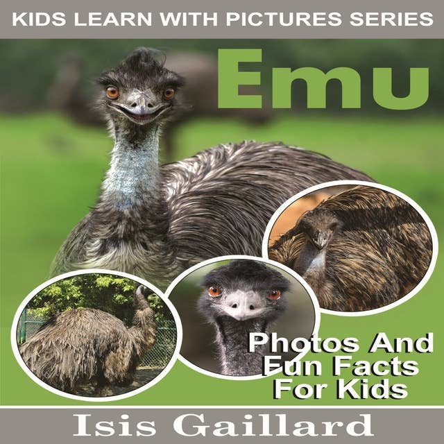 Emu: Photos and Fun Facts for Kids
