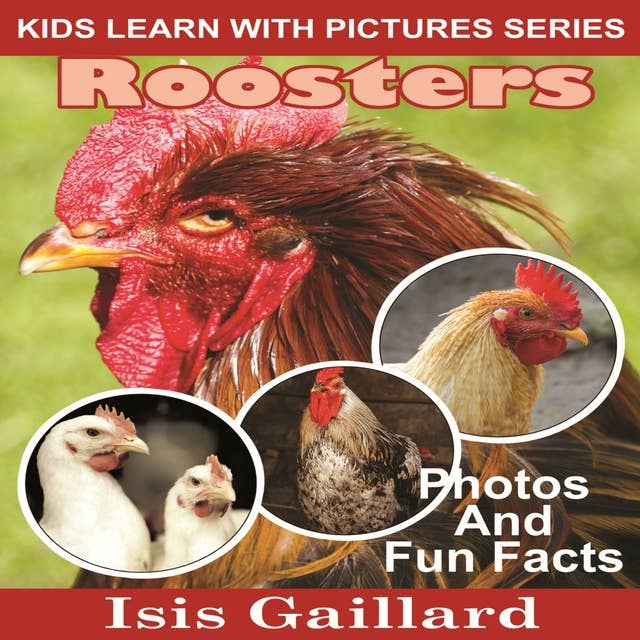 Roosters: Photos and Fun Facts for Kids