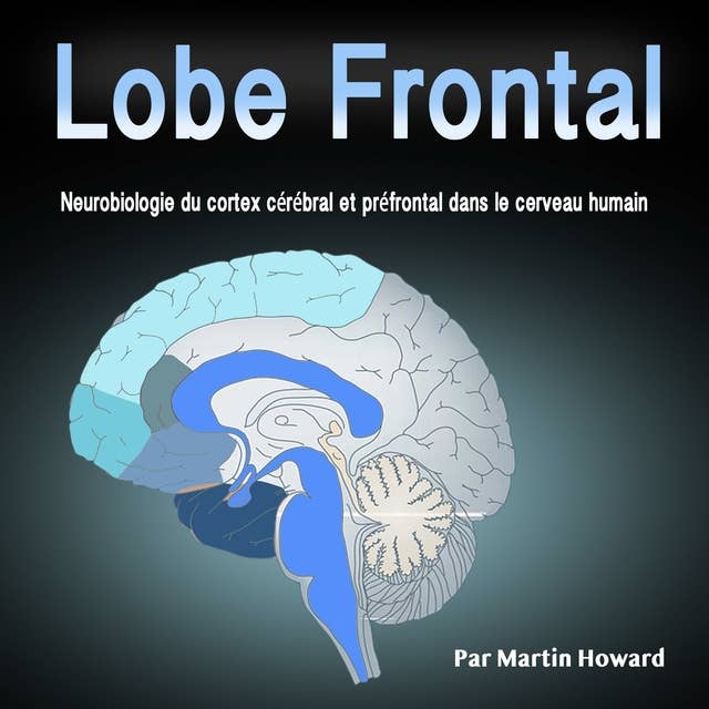 Lobe Frontal: Neurobiologie du cortex cérébral et préfrontal dans le cerveau humain