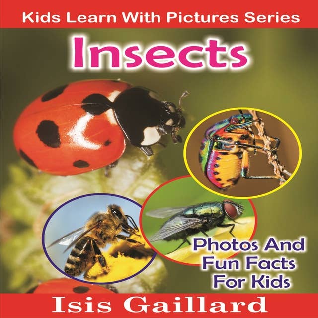Insects: Photos and Fun Facts for Kids