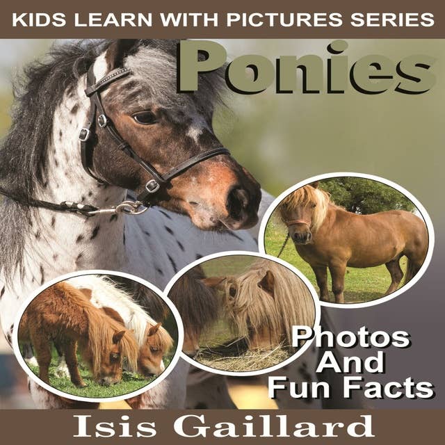 Ponies: Photos and Fun Facts for Kids