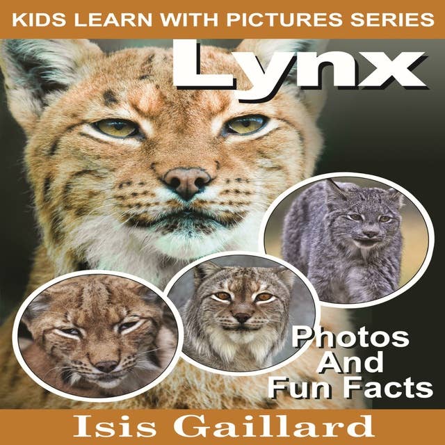 Lynx: Photos and Fun Facts for Kids