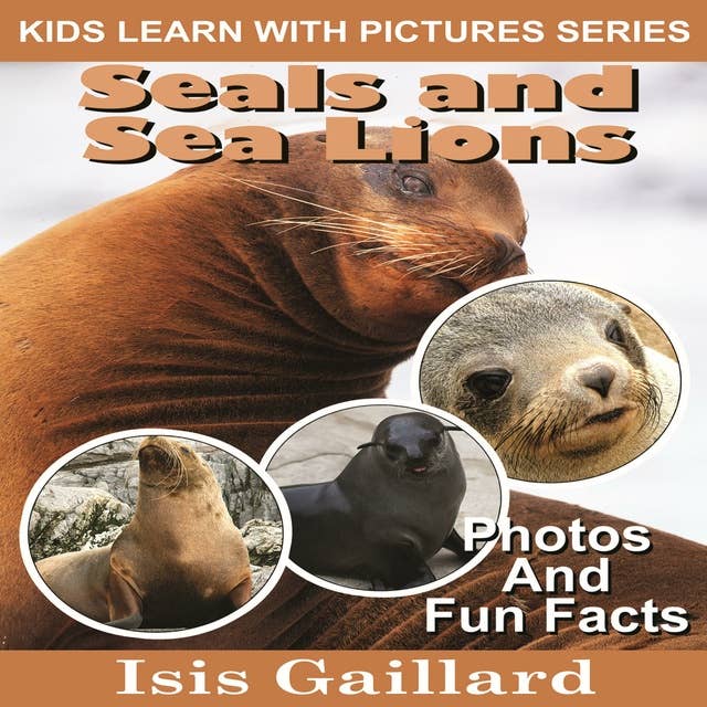 Seals and Sea Lions: Photos and Fun Facts for Kids