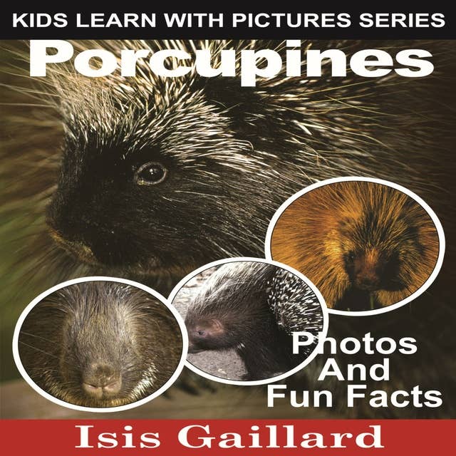 Porcupines: Photos and Fun Facts for Kids