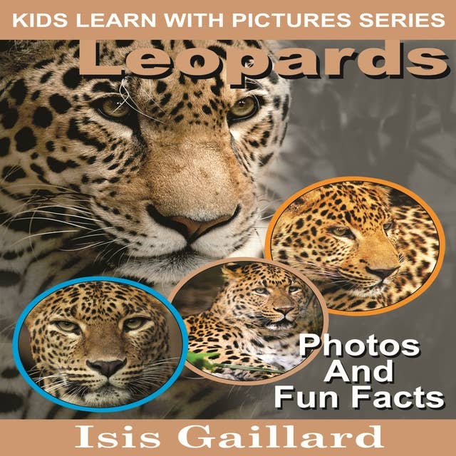 Leopards: Photos and Fun Facts for Kids