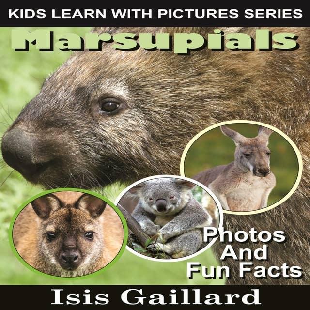 Marsupials: Photos and Fun Facts for Kids