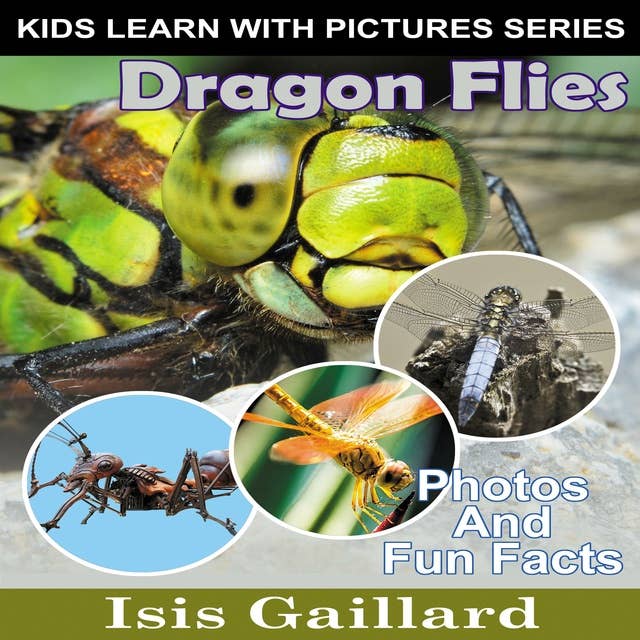 Dragon Flies: Photos and Fun Facts for Kids