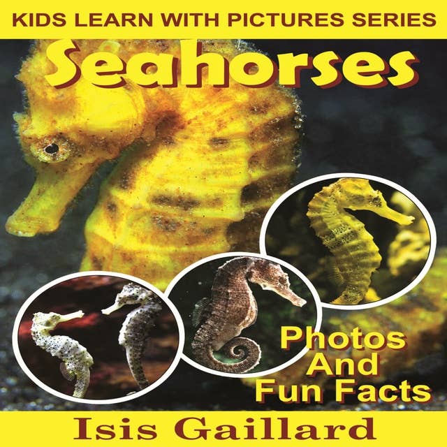 Seahorses: Photos and Fun Facts for Kids