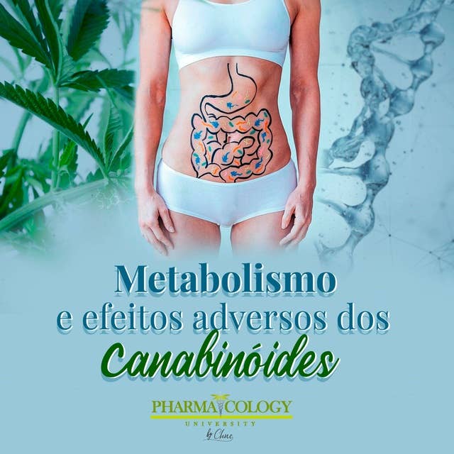 Metabolismo e efeitos adversos dos canabinóides