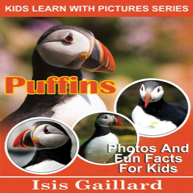 Puffins: Photos and Fun Facts for Kids