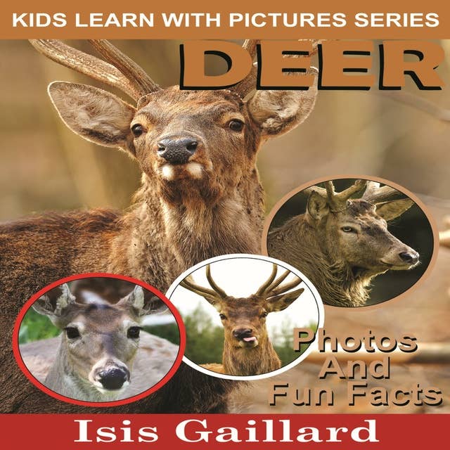 Deer: Photos and Fun Facts for Kids