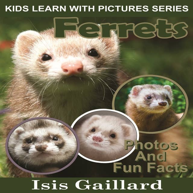 Ferrets: Photos and Fun Facts for Kids