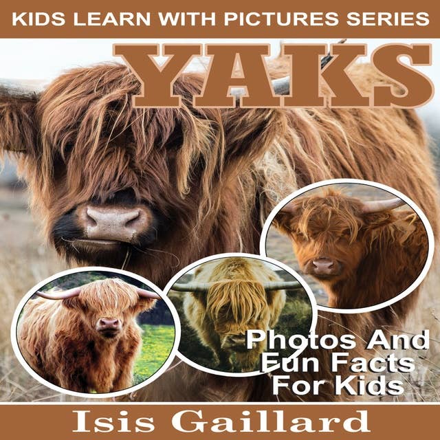 Yaks: Photos and Fun Facts for Kids