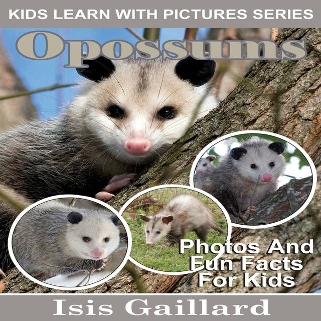 Opossums: Photos and Fun Facts for Kids
