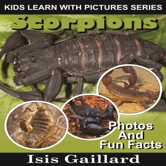 Scorpions: Photos and Fun Facts for Kids