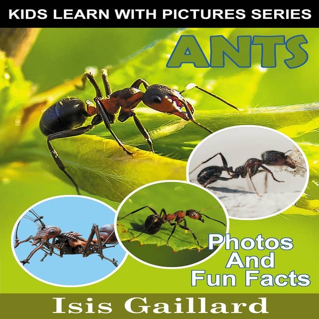 Ants: Photos and Fun Facts for Kids