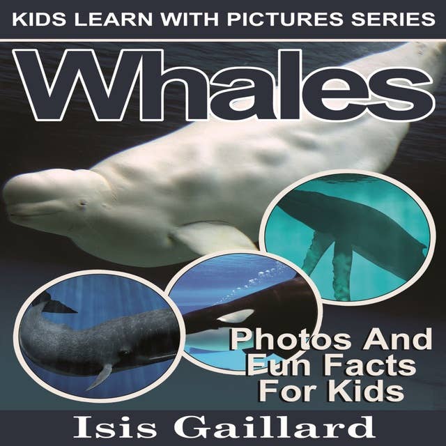 Whales: Photos and Fun Facts for Kids
