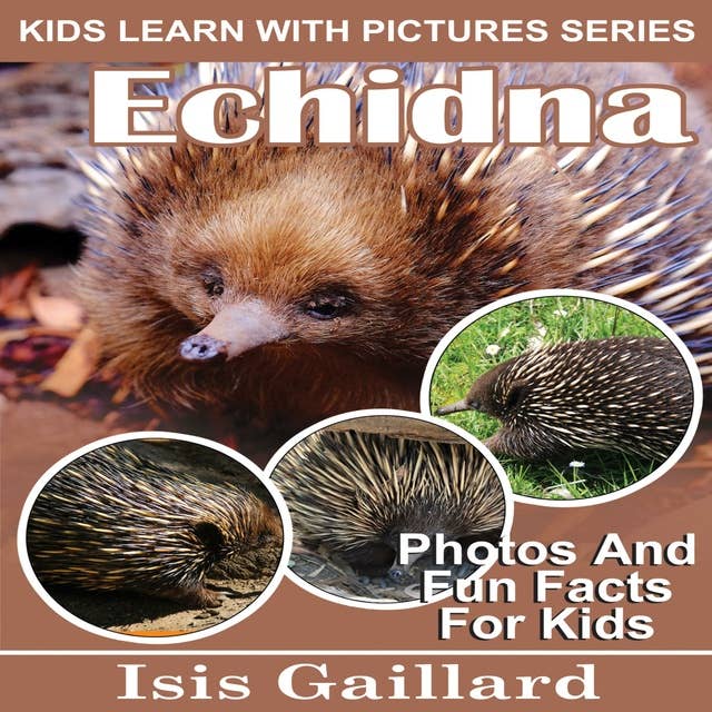 Echidna: Photos and Fun Facts for Kids