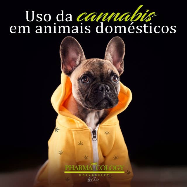 Uso da cannabis em animais domésticos