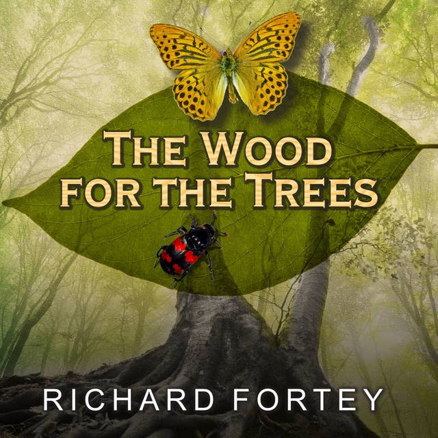 The Wood for the Trees: One Man's Long View of Nature