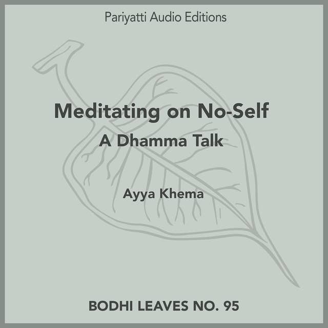 Meditating on No-Self: A Dhamma Talk
