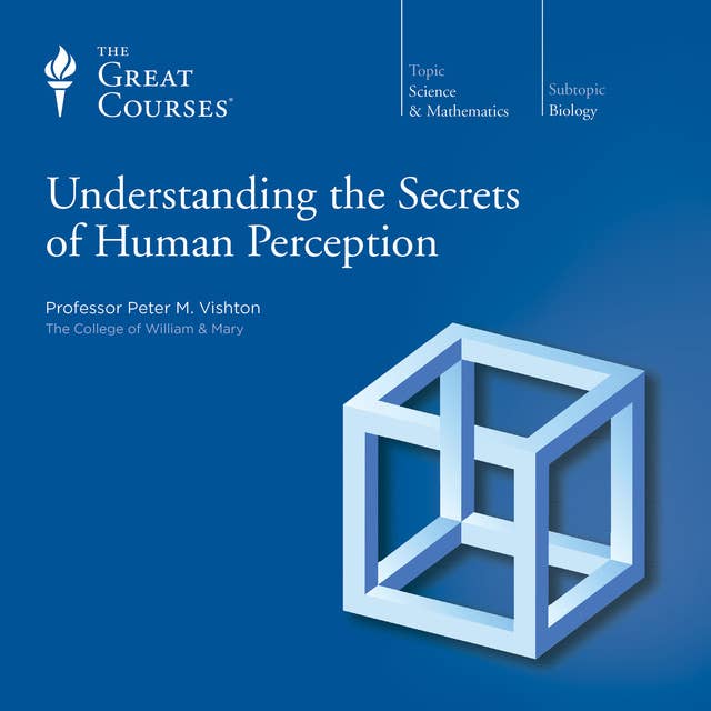 Understanding the Secrets of Human Perception 