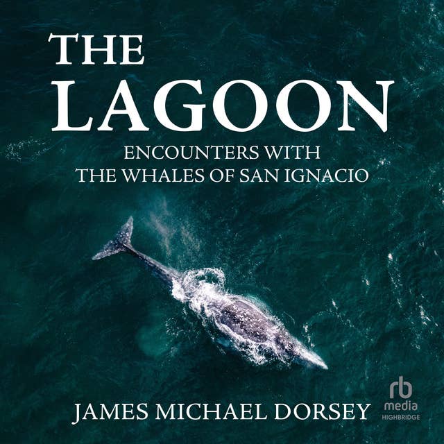 Cover for The Lagoon: Encounters with the Whales of San Ignacio