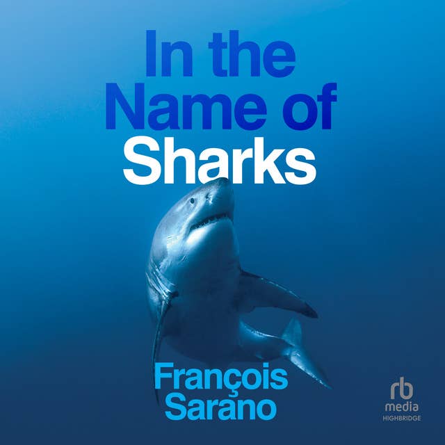 In the Name of Sharks: 1st Edition